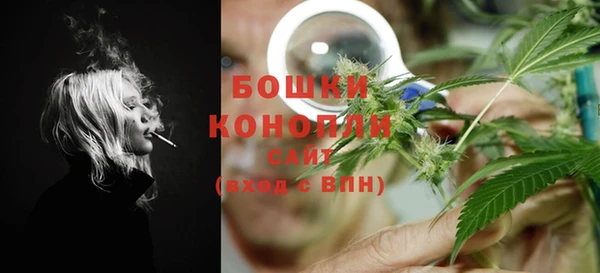 бошки Алексин