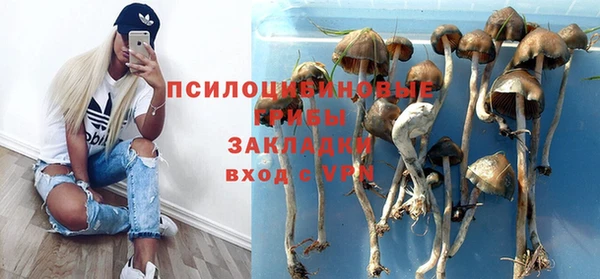 СК Алзамай