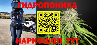 прущие крисы Абинск