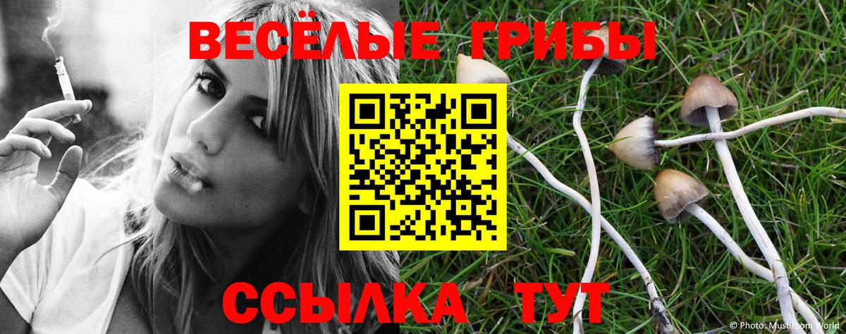 Галлюциногенные грибы Magic Shrooms Анапа