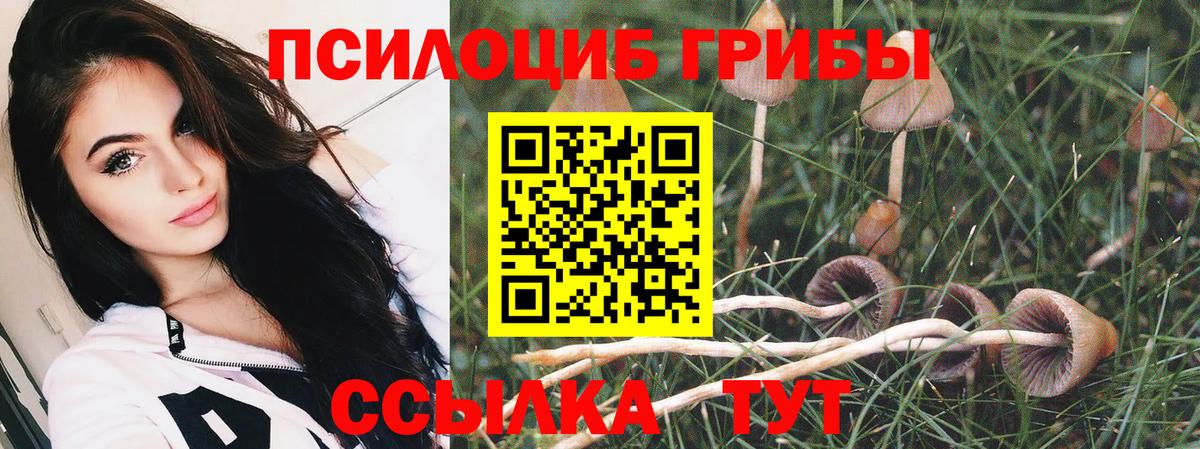 Псилоцибиновые грибы мицелий Анапа