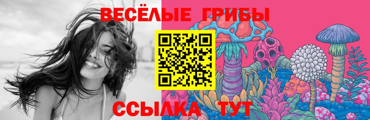 Галлюциногенные грибы мухоморы  Анапа  Галлюциногенные грибы Psilocybe 